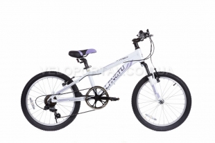 Велосипед дитячий Langtu KV027 20˝ білий/фіолетовий фото 31516