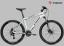 Велосипед Trek-2015 3700 DISC 21" білий (White)